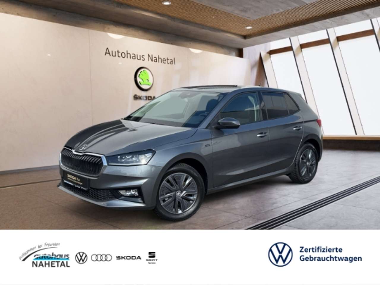 Skoda Fabia 2025 — 1.0TSI DSG Selection Tour LED NAVI ACC AHK REAR VI