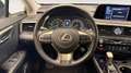 Lexus RX 450h BUSINESS AUTO 3.5CC 313CV 5P Azul - thumbnail 10