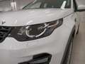 Land Rover Discovery Sport 2.0 TD4 150 CV Auto Business Ed. Premium SE Bianco - thumbnail 6