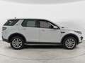 Land Rover Discovery Sport 2.0 TD4 150 CV Auto Business Ed. Premium SE Bianco - thumbnail 4