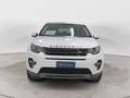 Land Rover Discovery Sport 2.0 TD4 150 CV Auto Business Ed. Premium SE Bianco - thumbnail 2