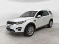 Land Rover Discovery Sport 2.0 TD4 150 CV Auto Business Ed. Premium SE Bianco - thumbnail 1