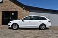 Skoda Octavia 1.4 TSI IV SPORTLINE BNS, Xenon, Pano, HUD Wit - thumbnail 5