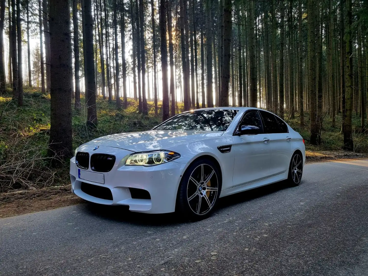 BMW M5 Competition Edition 1/200 Keramikbremse, B&O, Voll Weiß - 1