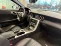 Mercedes-Benz SLK 200 SLK Roadster - R172 (cgi be) Premium Gris - thumbnail 7