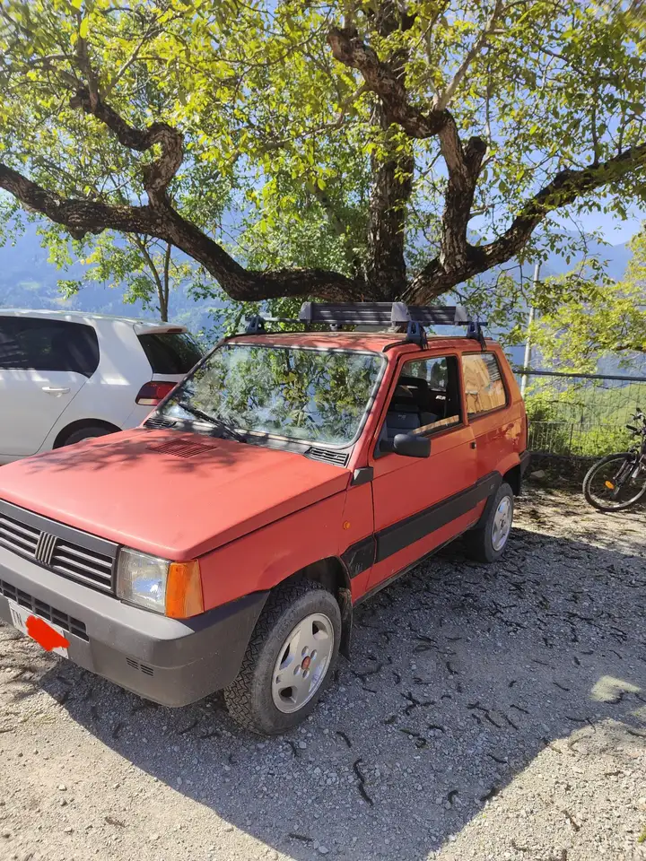 Fiat Panda 4x4 Trekking, foto 5