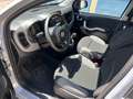 Fiat Panda Panda 1.0 firefly hybrid s Grigio - thumbnail 7