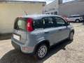 Fiat Panda Panda 1.0 firefly hybrid s Grigio - thumbnail 3