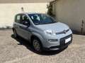 Fiat Panda Panda 1.0 firefly hybrid s Grigio - thumbnail 1