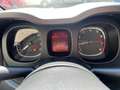 Fiat Panda Panda 1.0 firefly hybrid s Grigio - thumbnail 13