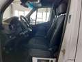 Mercedes-Benz Sprinter III Pritsche DoKa RWD/AWD 311/314/316 C Weiß - thumbnail 19