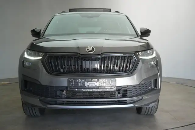 Skoda Kodiaq view 2