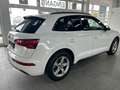 Audi Q5 35 TDI sport*Navi*AHK.*1.Hand Blanco - thumbnail 4