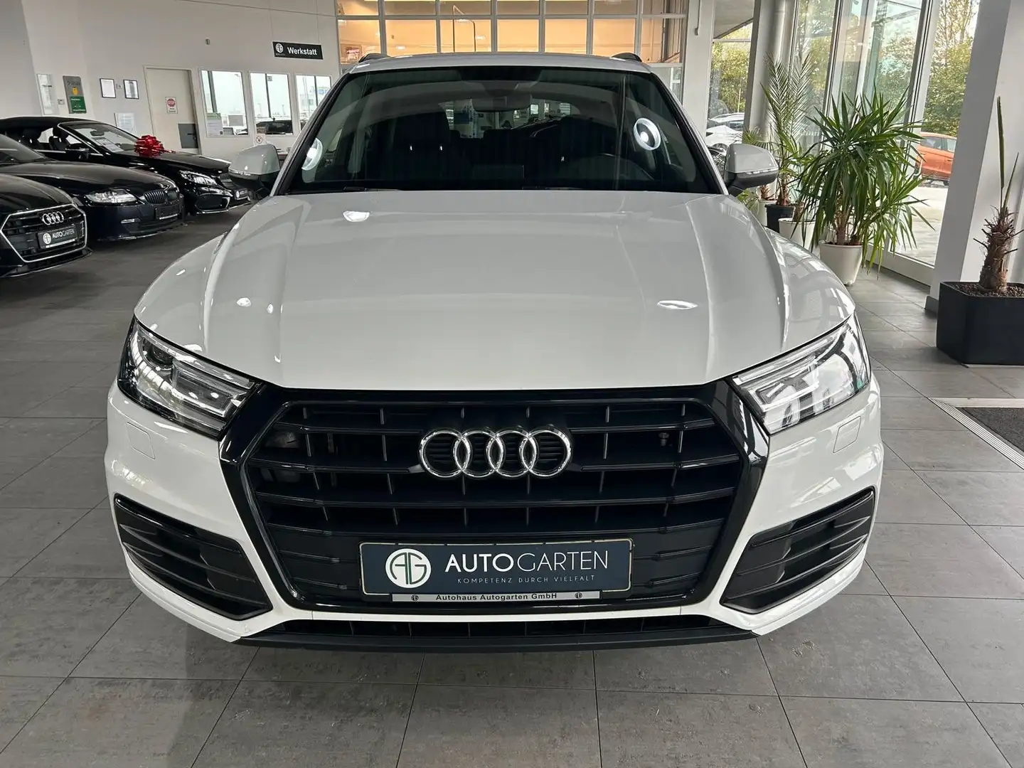 Audi Q5 35 TDI sport*Navi*AHK.*1.Hand Blanco - 2