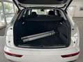 Audi Q5 35 TDI sport*Navi*AHK.*1.Hand Blanco - thumbnail 5