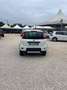 Fiat Panda 1.3 Multijet S&S 4x4 Weiß - thumbnail 5