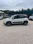 Fiat Panda 1.3 Multijet S&S 4x4 Weiß - thumbnail 10