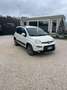 Fiat Panda 1.3 Multijet S&S 4x4 Wit - thumbnail 8