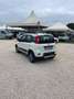 Fiat Panda 1.3 Multijet S&S 4x4 Wit - thumbnail 4