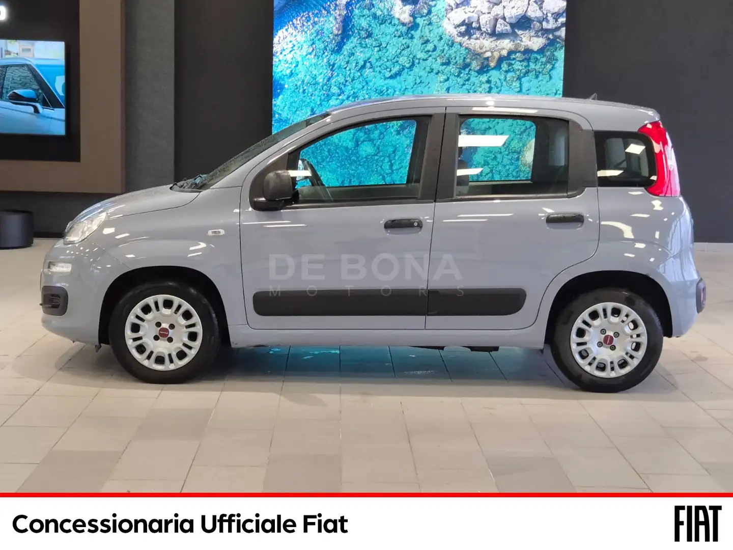 Fiat Panda 1.0 firefly hybrid s&s 70cv - 2