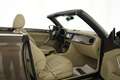 Volkswagen Maggiolino Cabrio 2.0 tdi Sport 140cv dsg PELLE+LED+C18" Brun - thumbnail 46
