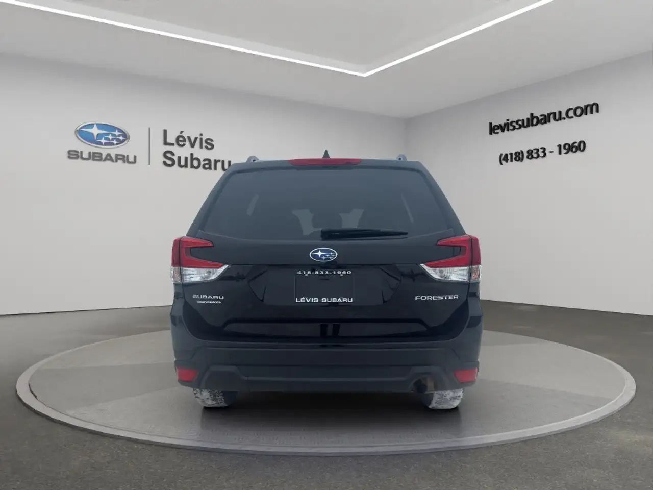 Subaru Forester fotografie Subaru Forester