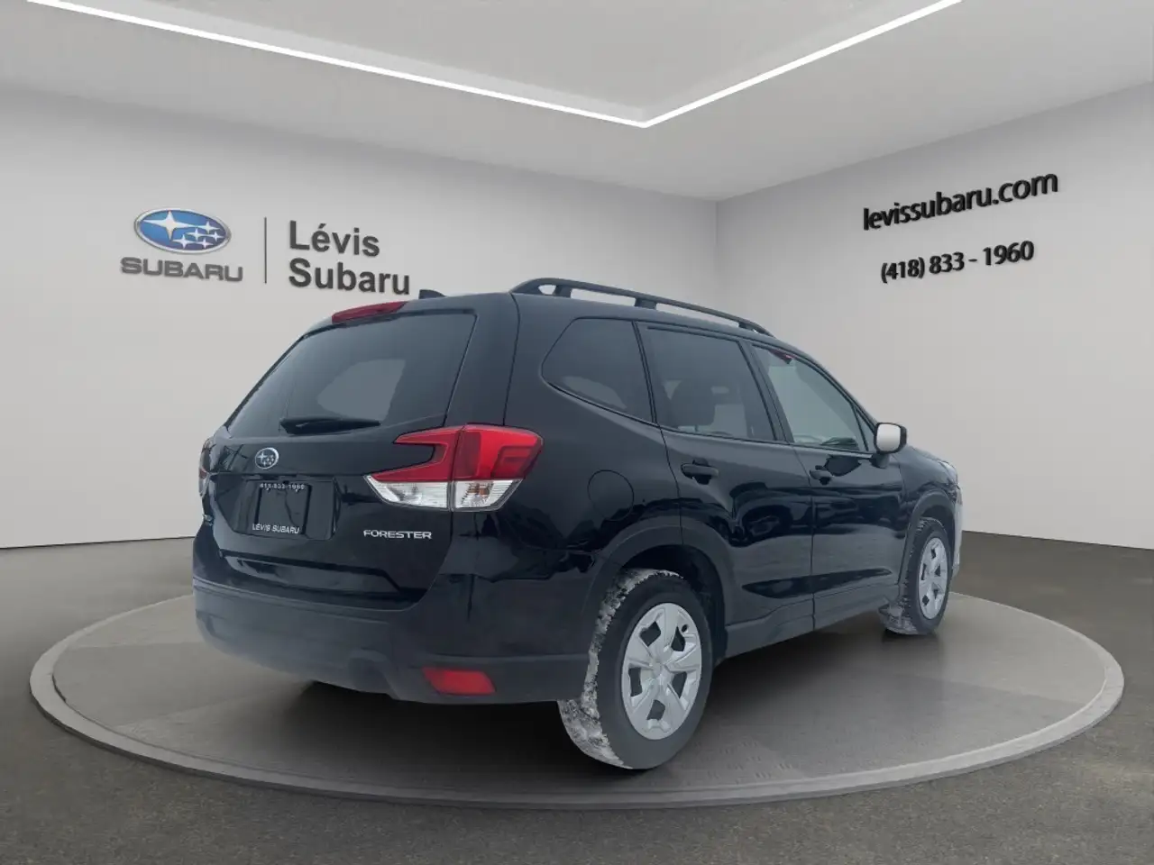 Subaru Forester fotografie Subaru Forester