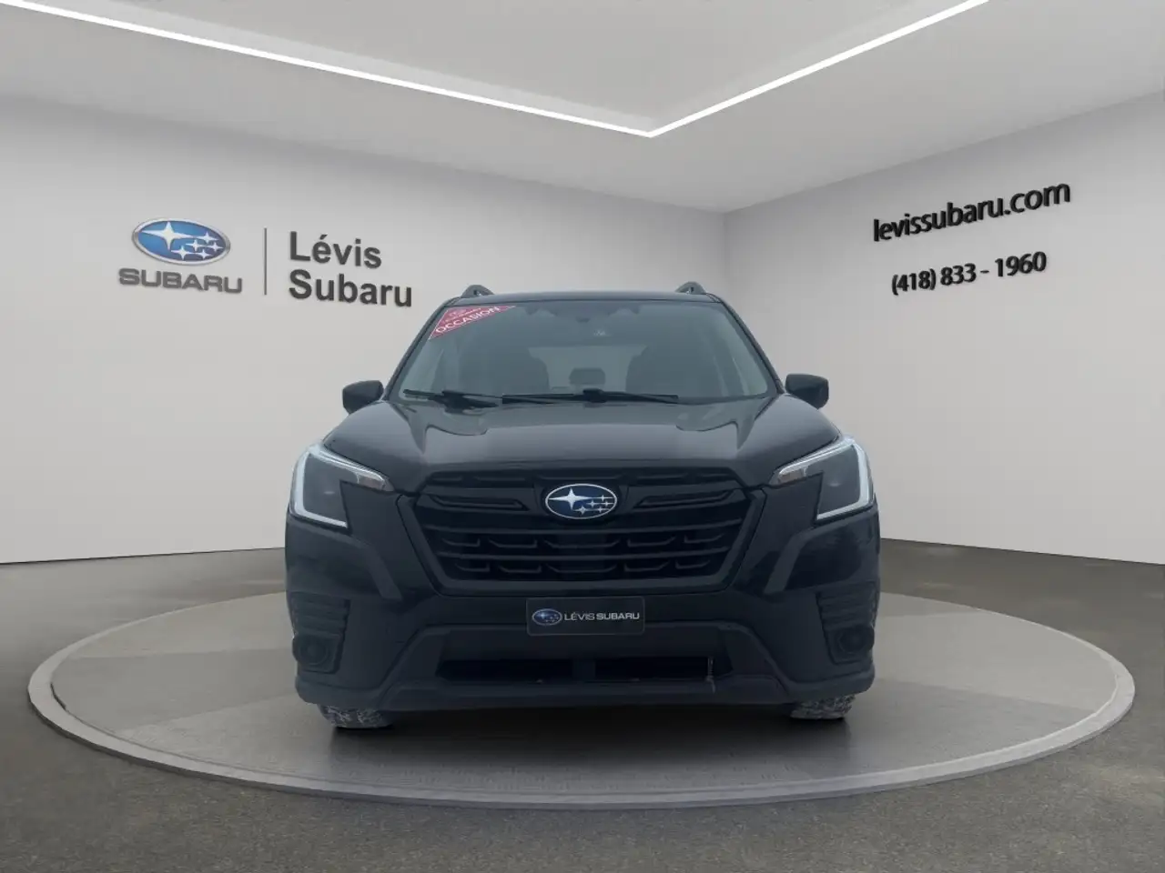 Subaru Forester fotografie Subaru Forester