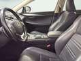 Lexus NX 300 300h Business 2WD Plateado - thumbnail 11