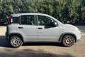 Fiat New Panda Panda 1.0 FireFly S&S Hybrid Argento - thumbnail 4