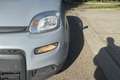 Fiat New Panda Panda 1.0 FireFly S&S Hybrid Argento - thumbnail 9