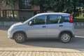 Fiat New Panda Panda 1.0 FireFly S&S Hybrid Argento - thumbnail 8