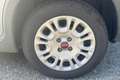 Fiat New Panda Panda 1.0 FireFly S&S Hybrid Argento - thumbnail 11