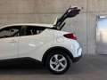 Toyota C-HR 1.8 Hybrid / Servicegepflegt / 8 fach bereift Weiß - thumbnail 9