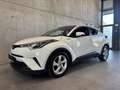 Toyota C-HR 1.8 Hybrid / Servicegepflegt / 8 fach bereift Weiß - thumbnail 3