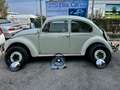 Volkswagen Maggiolino 1.2 6V "RESTAURO COMPLETO DIMOSTR. CON FOTO" Beige - thumbnail 8