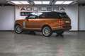 Land Rover Range Rover 3.0D TDV6 Vogue AWD Aut. Arancione - thumbnail 3