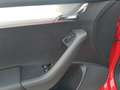 Skoda Octavia TDI Limousine/ACC/Service NEU/Pickerl:06/26 Rot - thumbnail 9