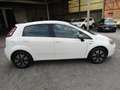 Fiat Grande Punto 1.2 Young 5p NEOPATENTATI * 197.000 KM REALI * Білий - thumbnail 4