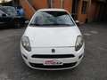 Fiat Grande Punto 1.2 Young 5p NEOPATENTATI * 197.000 KM REALI * Beyaz - thumbnail 2