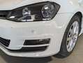 Volkswagen Golf Golf VII 1.6 tdi 110 cv Executive - thumbnail 8