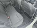 Ford Focus ST-Line 1.5 Automatik - Top gepflegt Weiß - thumbnail 10