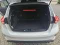 Ford Focus ST-Line 1.5 Automatik - Top gepflegt Weiß - thumbnail 9