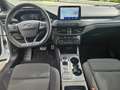 Ford Focus ST-Line 1.5 Automatik - Top gepflegt Weiß - thumbnail 6