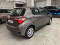 Toyota Yaris Yaris 1.0 5 porte Active Brun - thumbnail 5