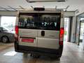Fiat Ducato 2.3 MJT 150CV  PANORAMA 9 POSTI Grigio - thumbnail 12