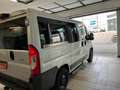 Fiat Ducato 2.3 MJT 150CV  PANORAMA 9 POSTI Grigio - thumbnail 16