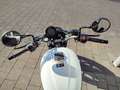 Kawasaki Eliminator 500 Weiß - thumbnail 7