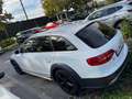 Audi A4 allroad A4 Allroad 2,0 TDI quattro S-tronic Weiß - thumbnail 6