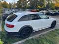 Audi A4 allroad A4 Allroad 2,0 TDI quattro S-tronic Weiß - thumbnail 4